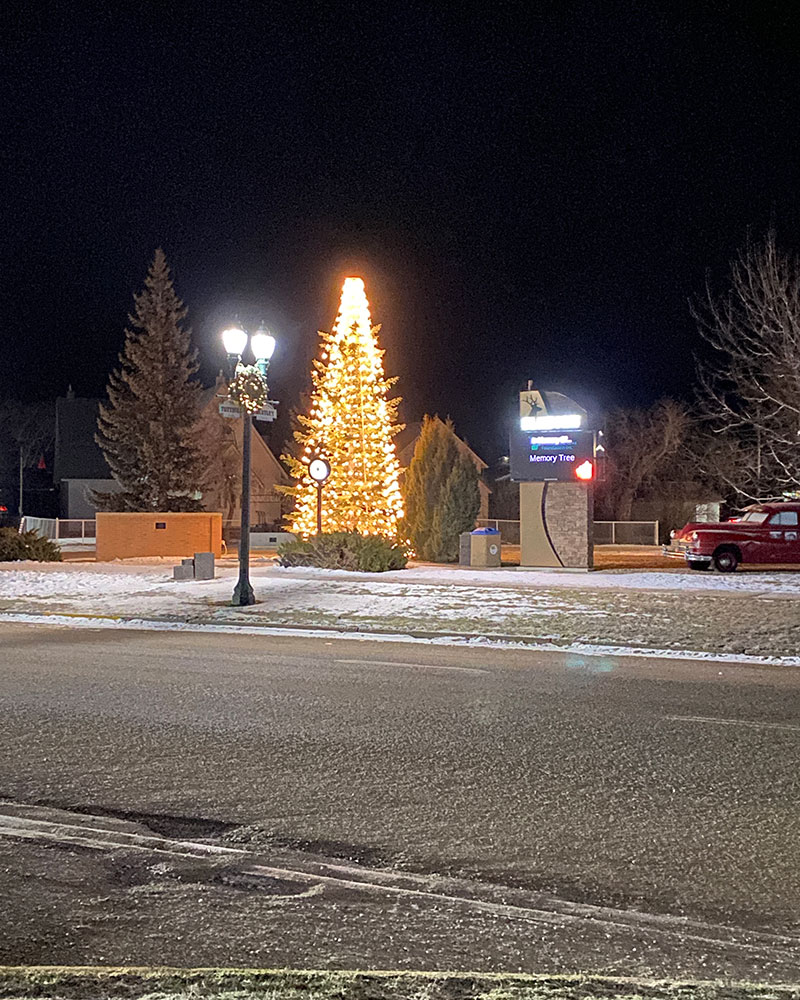 Elkhorn & Area Foundation Tree of Memories 2023